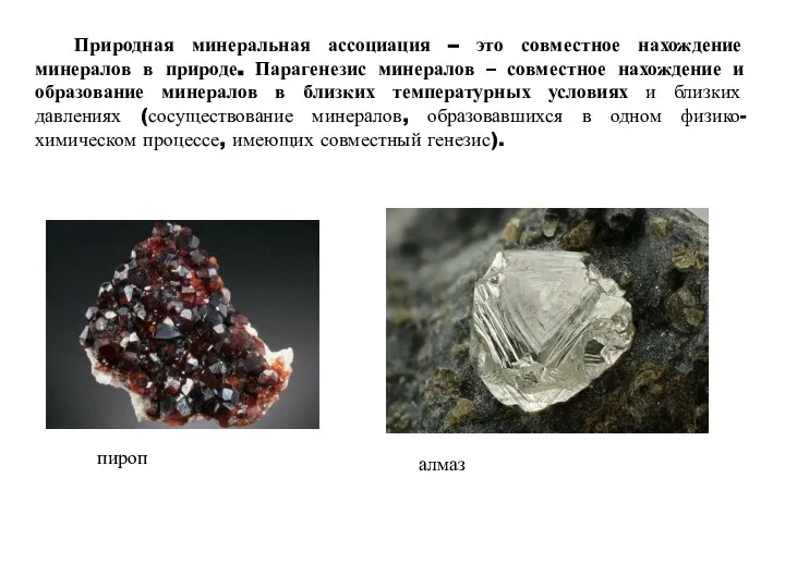 Природная минеральная ассоциация – это совместное нахождение минералов в природе. Парагенезис