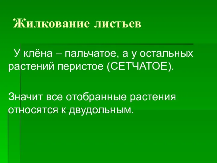 Жилкование листьев У клёна – пальчатое, а у остальных растений перистое