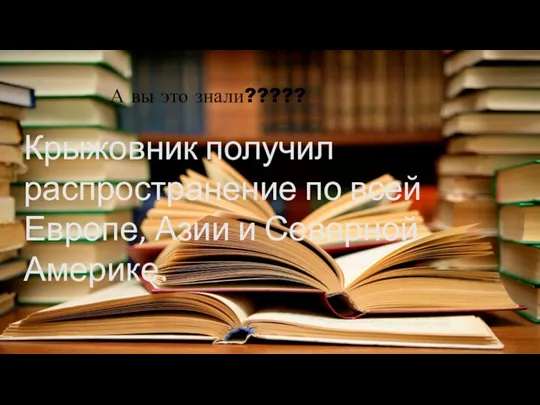 Крыжовник получил распространение по всей Европе, Азии и Северной Америке. А вы это знали?????