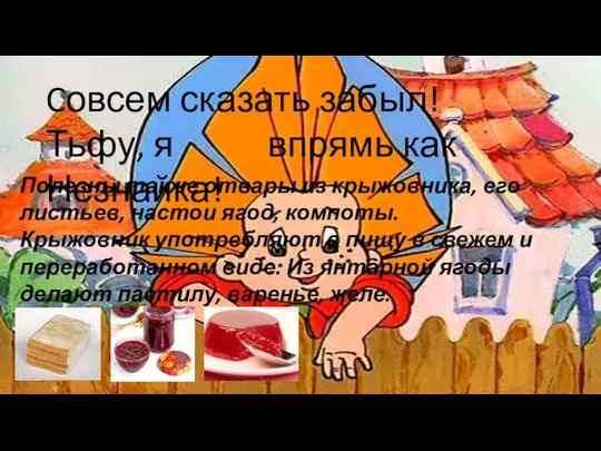 Cовсем сказать забыл! Тьфу, я впрямь как Незнайка! Полезны также отвары