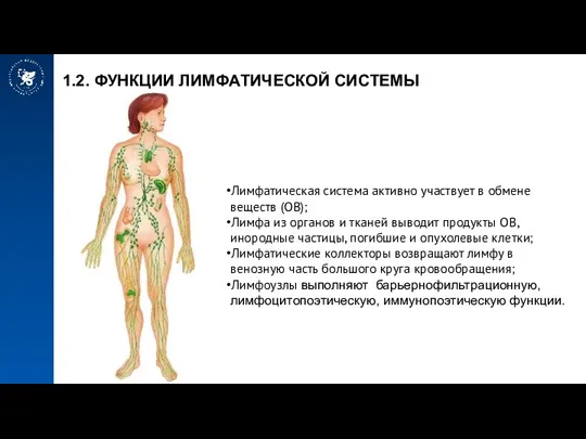 1.2. ФУНКЦИИ ЛИМФАТИЧЕСКОЙ СИСТЕМЫ Лимфатическая система активно участвует в обмене веществ