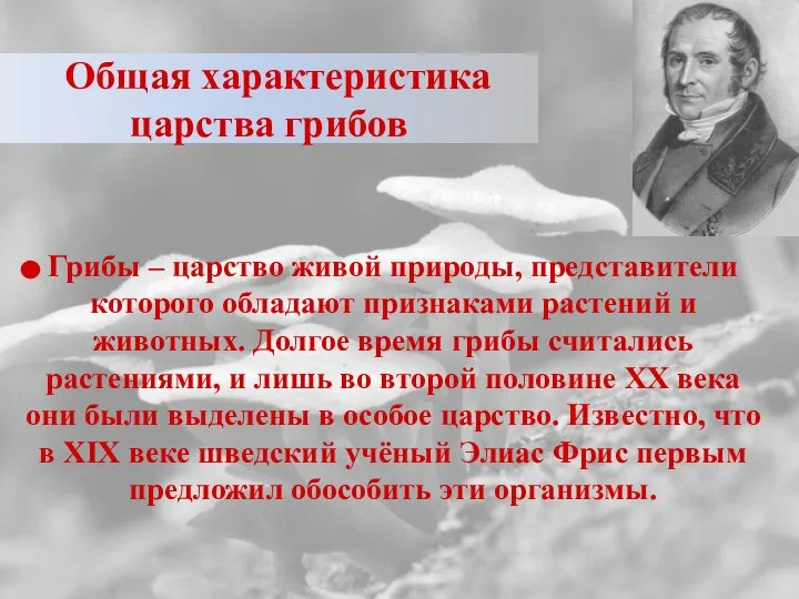 Общая характеристика царства грибов Грибы – царство живой природы, представители которого