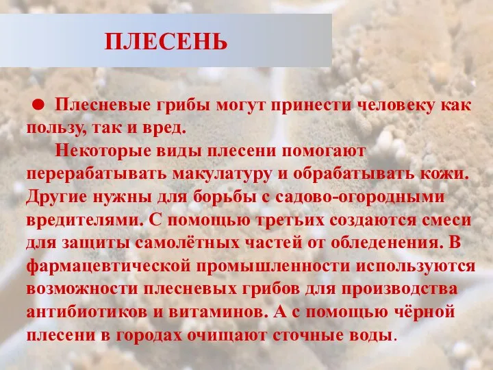 ПЛЕСЕНЬ Плесневые грибы могут принести человеку как пользу, так и вред.