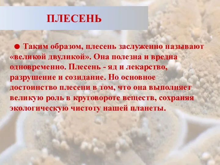 ПЛЕСЕНЬ Таким образом, плесень заслуженно называют «великой двуликой». Она полезна и