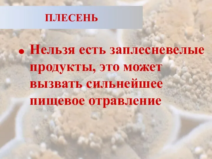 ПЛЕСЕНЬ Нельзя есть заплесневелые продукты, это может вызвать сильнейшее пищевое отравление