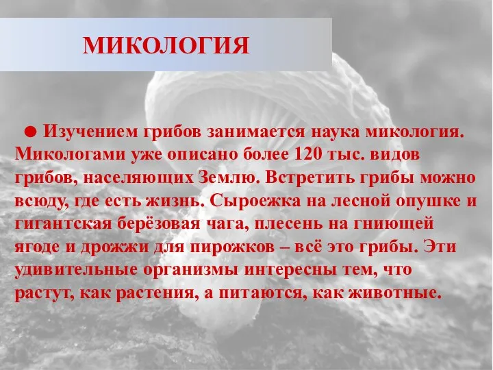 МИКОЛОГИЯ Изучением грибов занимается наука микология. Микологами уже описано более 120