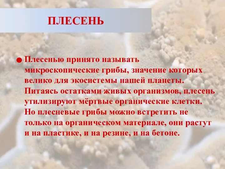 ПЛЕСЕНЬ Плесенью принято называть микроскопические грибы, значение которых велико для экосистемы