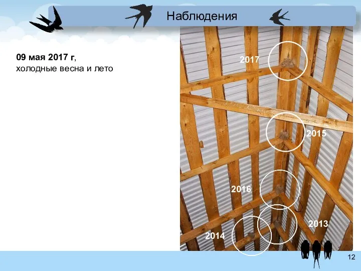 Ласточки Наблюдения 09 мая 2017 г, холодные весна и лето 2013 2014 2015 2016 2017