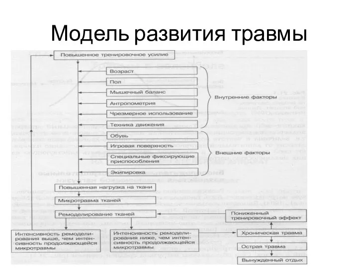 Модель развития травмы