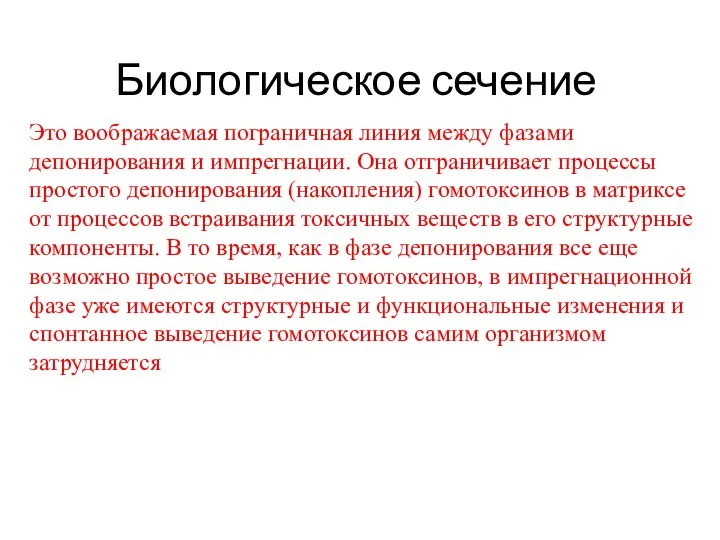 Биологическое сечение Это воображаемая пограничная линия между фазами депонирования и импрегнации.