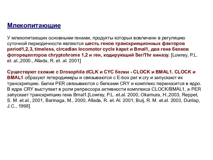 Млекопитающие У млекопитающих основными генами, продукты которых вовлеченн в регуляцию суточной