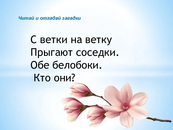 Читай и отгадай загадки С ветки на ветку Прыгают соседки. Обе белобоки. Кто они?