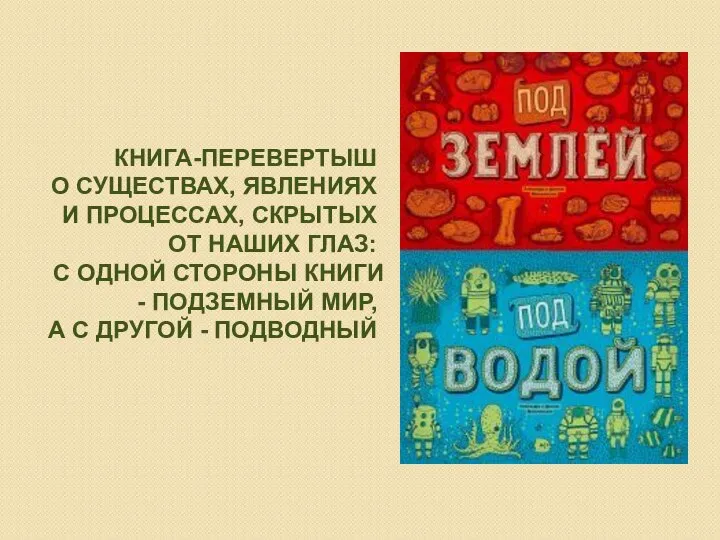 КНИГА-ПЕРЕВЕРТЫШ О СУЩЕСТВАХ, ЯВЛЕНИЯХ И ПРОЦЕССАХ, СКРЫТЫХ ОТ НАШИХ ГЛАЗ: С