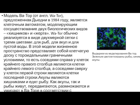 Модель Ва-Тор (от англ. Wa-Tor), предложенная Дьюдни в 1984 году, является