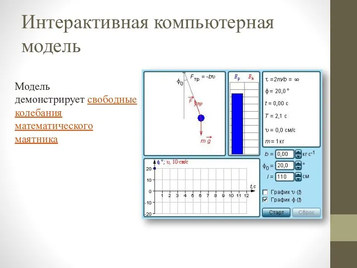 Интерактивная компьютерная модель Модель демонстрирует свободные колебания математического маятника