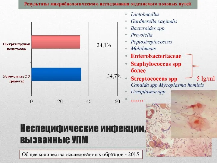 Неспецифические инфекции, вызванные УПМ Lactobacillus Gardnerella vaginalis Bacteroides spp Prevotella Peptostreptococcus