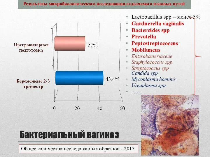 Бактериальный вагиноз Lactobacillus spp – менее 5% Gardnerella vaginalis Bacteroides spp