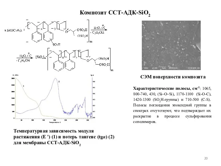 СЭМ поверхности композита Температурная зависимость модуля растяжения (E ') (1) и