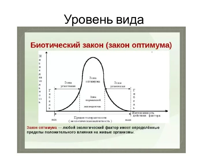 Уровень вида