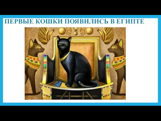 ПЕРВЫЕ КОШКИ ПОЯВИЛИСЬ В ЕГИПТЕ