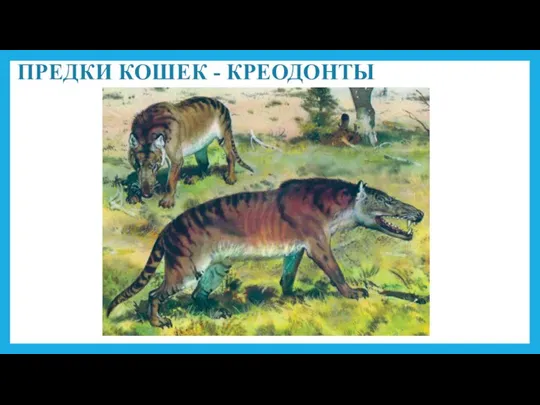 ПРЕДКИ КОШЕК - КРЕОДОНТЫ