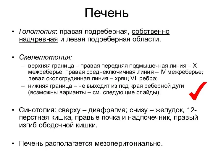 Печень Голотопия: правая подреберная, собственно надчревная и левая подреберная области. Скелетотопия: