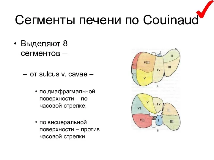 Сегменты печени по Couinaud Выделяют 8 сегментов – от sulcus v.