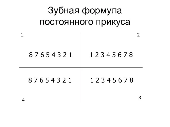 Зубная формула постоянного прикуса 8 7 6 5 4 3 2