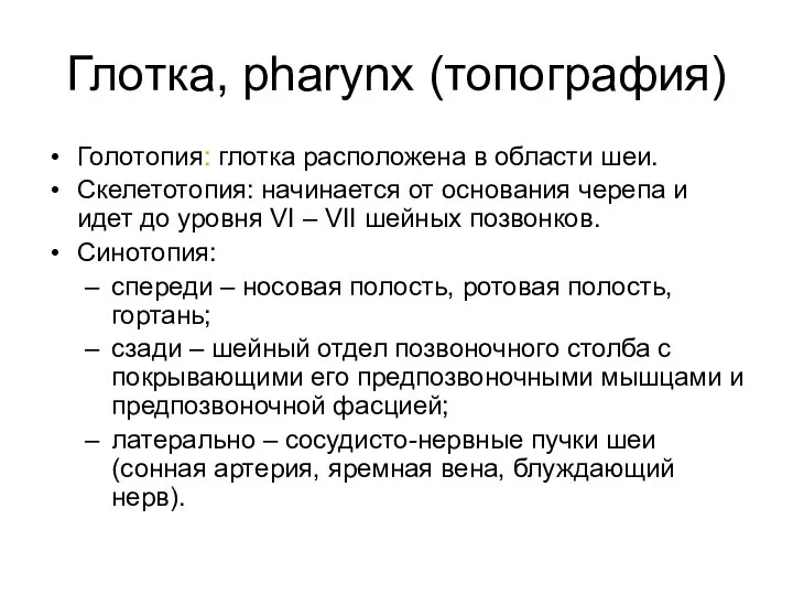 Глотка, pharynx (топография) Голотопия: глотка расположена в области шеи. Скелетотопия: начинается