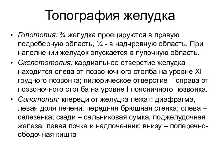 Топография желудка Голотопия: ¾ желудка проецируются в правую подреберную область, ¼