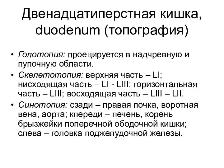 Двенадцатиперстная кишка, duodenum (топография) Голотопия: проецируется в надчревную и пупочную области.