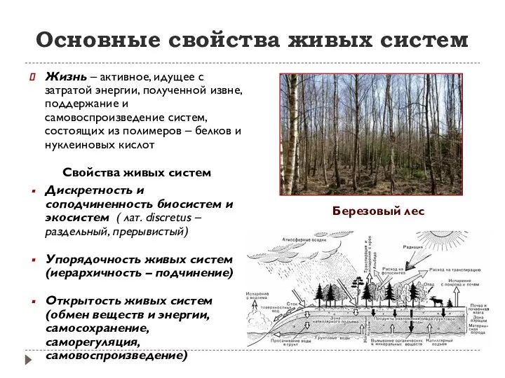 Основные свойства живых систем Жизнь – активное, идущее с затратой энергии,