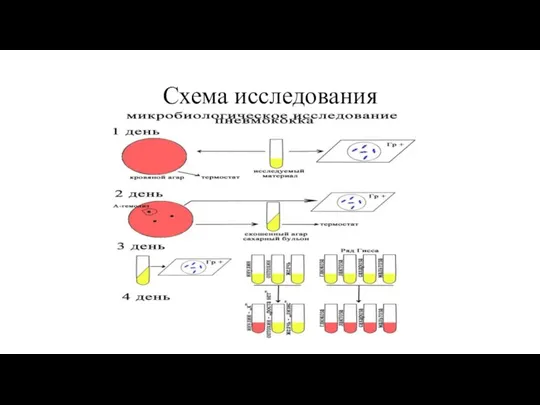 Схема исследования