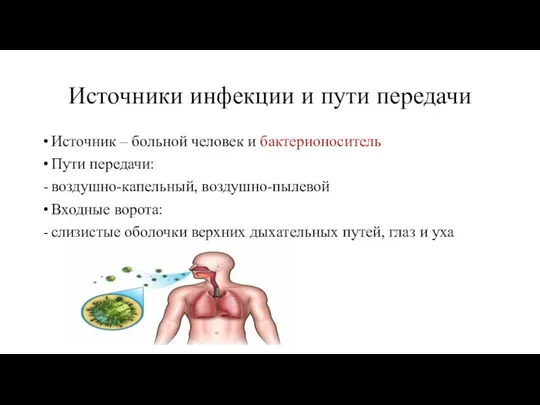 Источники инфекции и пути передачи Источник – больной человек и бактерионоситель