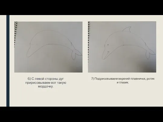 6) С левой стороны дуг пририсовываем вот такую мордочку. 7) Подрисовываем верхний плавничок, ротик и глазик.