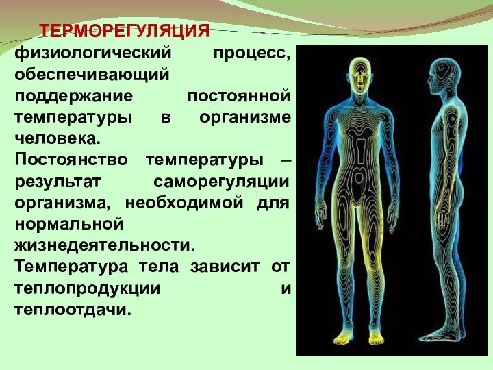 ТЕРМОРЕГУЛЯЦИЯ – физиологический процесс, обеспечивающий поддержание постоянной температуры в организме человека.