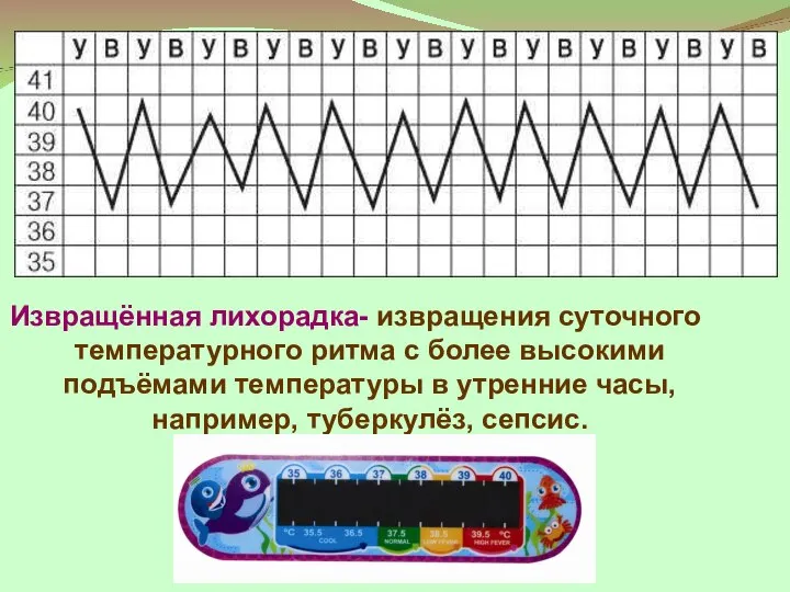 Извращённая лихорадка- извращения суточного температурного ритма с более высокими подъёмами температуры