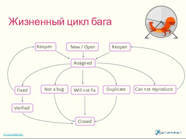 Жизненный цикл бага New / Open Assigned Fixed Can not reproduce