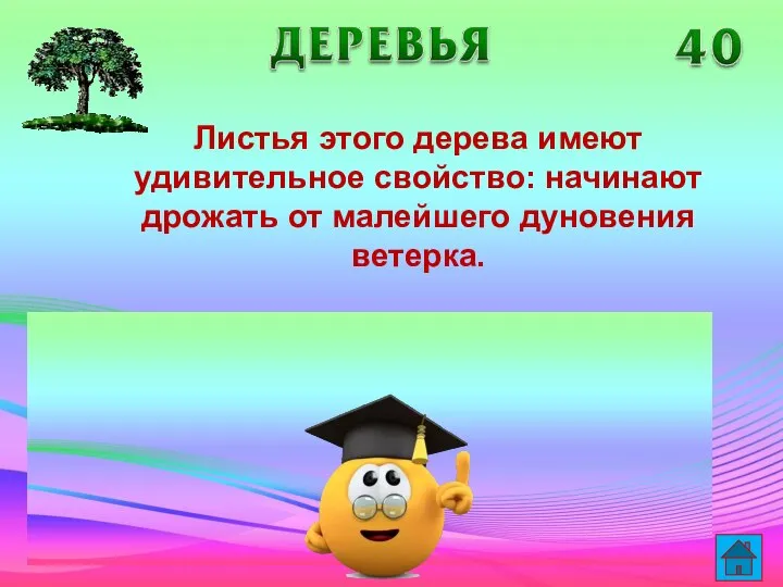 Листья этого дерева имеют удивительное свойство: начинают дрожать от малейшего дуновения ветерка.