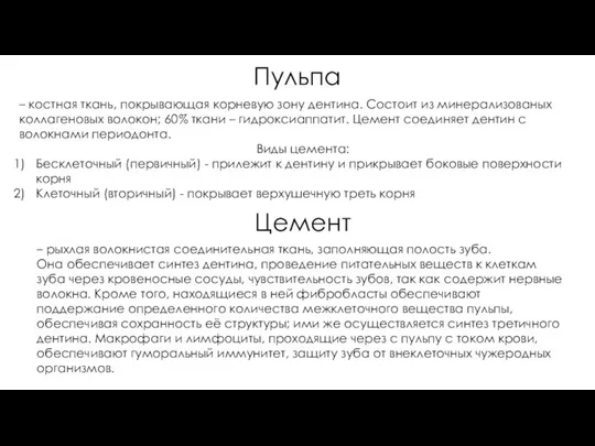 Цемент – костная ткань, покрывающая корневую зону дентина. Состоит из минерализованых