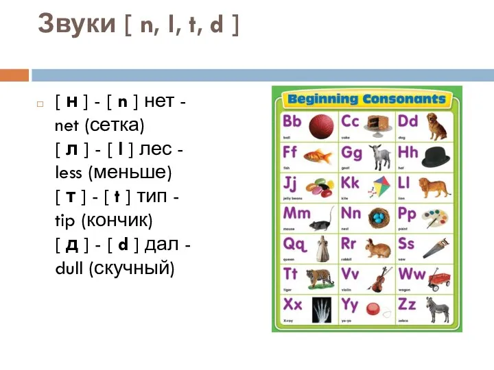 Звуки [ n, l, t, d ] [ н ] -