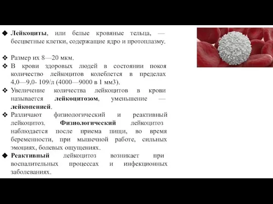 Лейкоциты, или белые кровяные тельца, — бесцветные клетки, содержащие ядро и