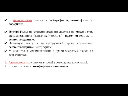 К гранулоцитам относятся нейтрофилы, эозинофилы и базофилы. Нейтрофилы по степени зрелости