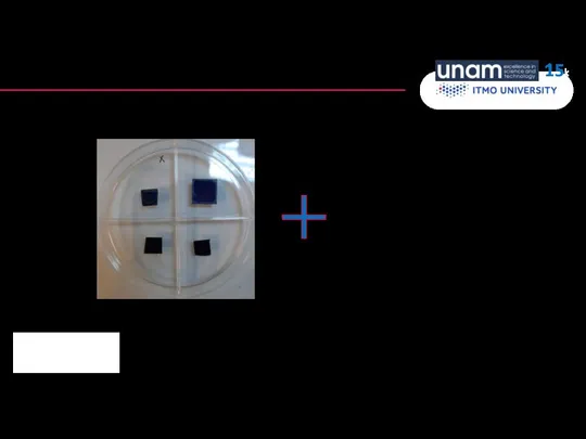 Today… 9) CdSe NPL films on modified substrate Self-Assembling: Spin-coating: 15k