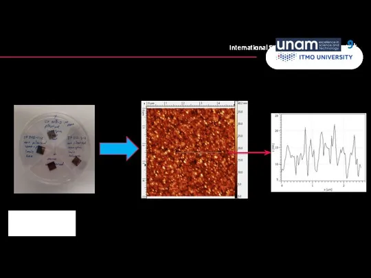 International Students and Scholars Rock 4) AFM measurements: UNAM From Hexane: 9k