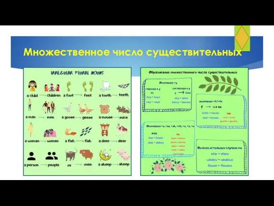 Множественное число существительных