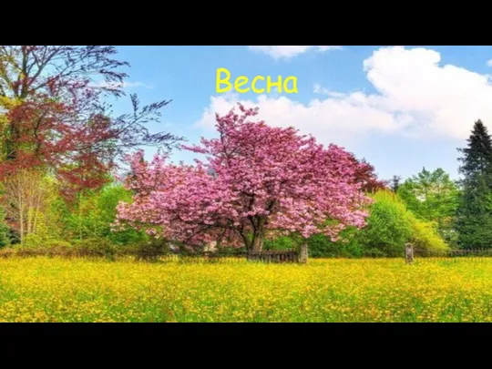 Весна