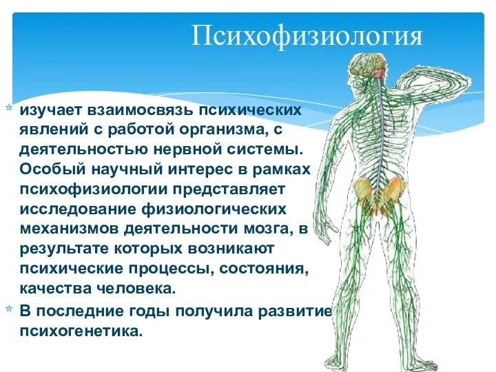 изучает взаимосвязь психических явлений с работой организма, с деятельностью нервной системы.