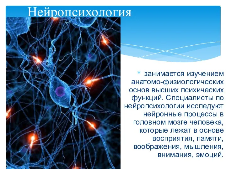 занимается изучением анатомо-физиологических основ высших психических функций. Специалисты по нейропсихологии исследуют