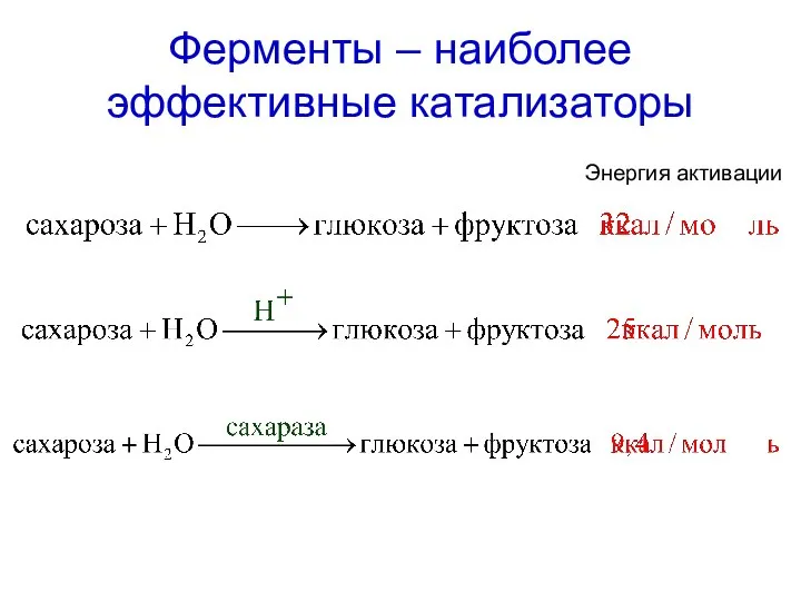 Ферменты – наиболее эффективные катализаторы Энергия активации